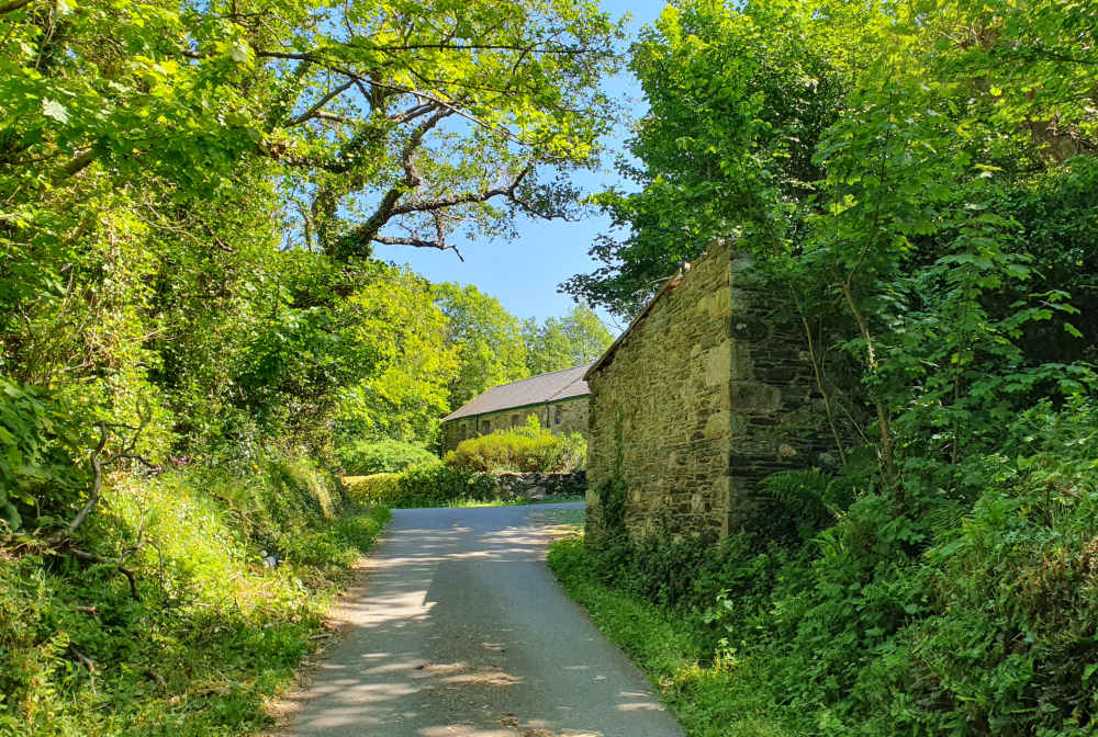 Country lane daydreaming