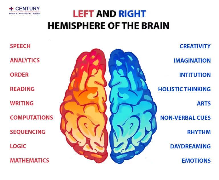 Exploring the Hidden Consciousness of the Right Brain