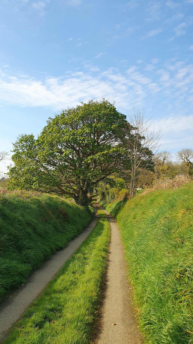 When you feel on the right path